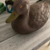 Vintage Duck Decoy by the General Fibre Co. - Image 3