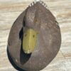 Vintage Duck Decoy by the General Fibre Co. - Image 4
