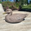 Vintage Duck Decoy by the General Fibre Co. - Image 7