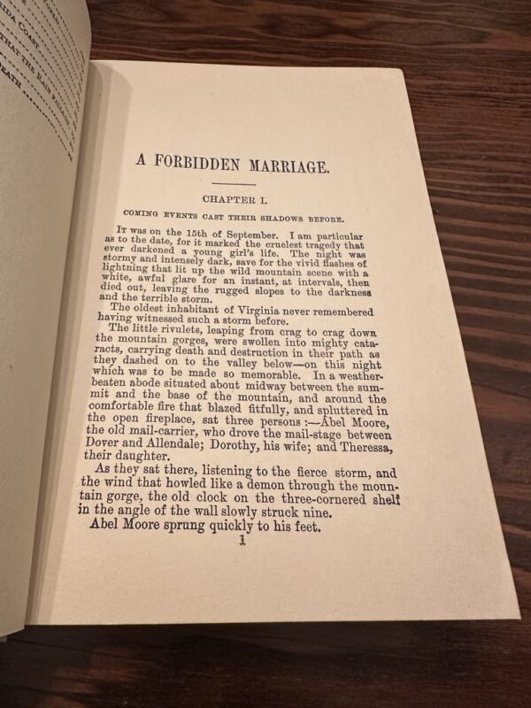 1888 First Edition of A Forbidden Marriage by Laura Jean Libbey - Image 3
